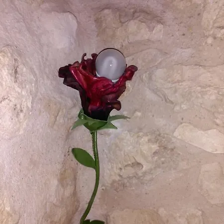 1904 Tubilla del Lago